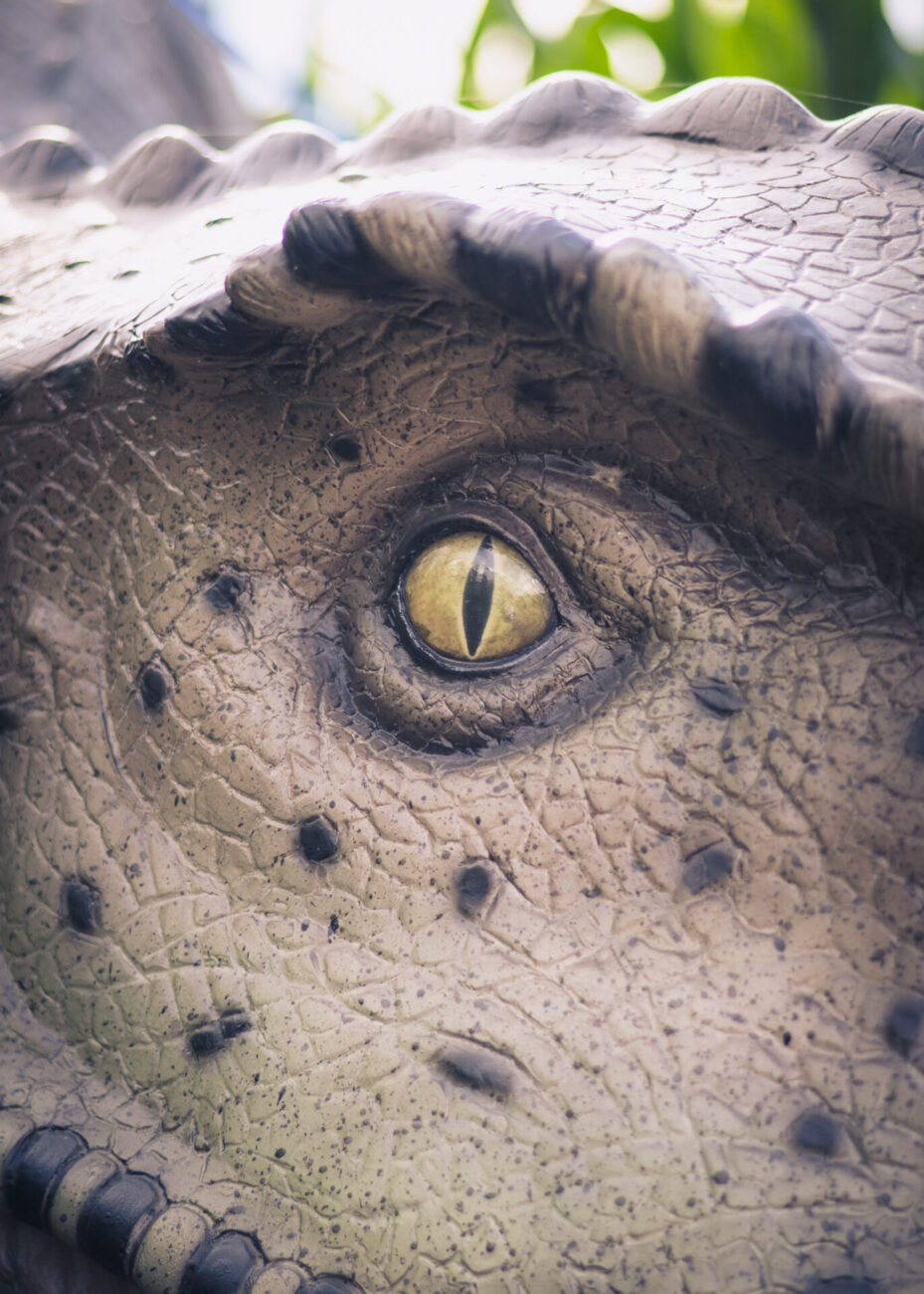 a close up of the dinosaur eye at the dinosaur maze at The Patch MK