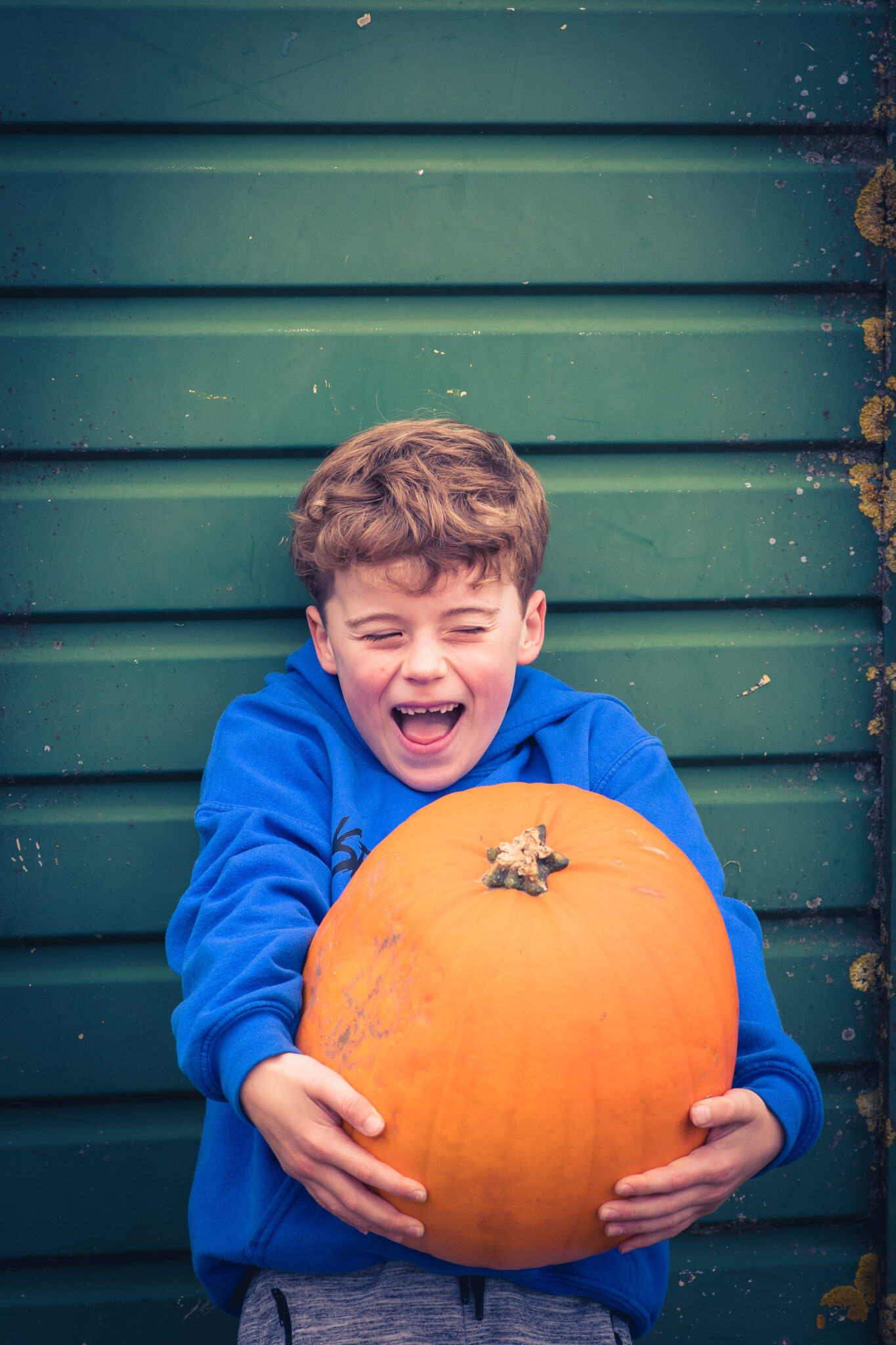 Pumpkin Patch Milton Keynes | The Patch MK