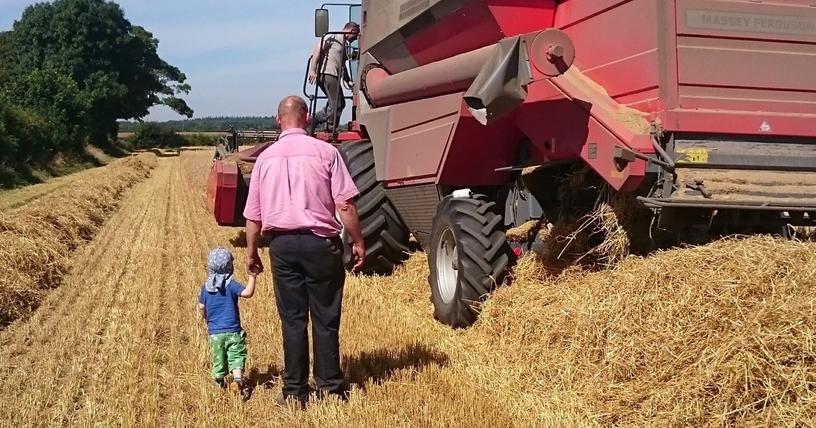 Why our family started a pumpkin patch in Milton Keynes - Patch MK