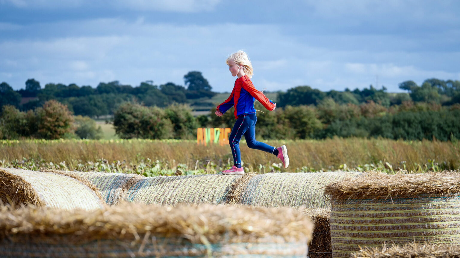 Family Pumpkin Picking in Milton Keynes: What to expect - Patch MK