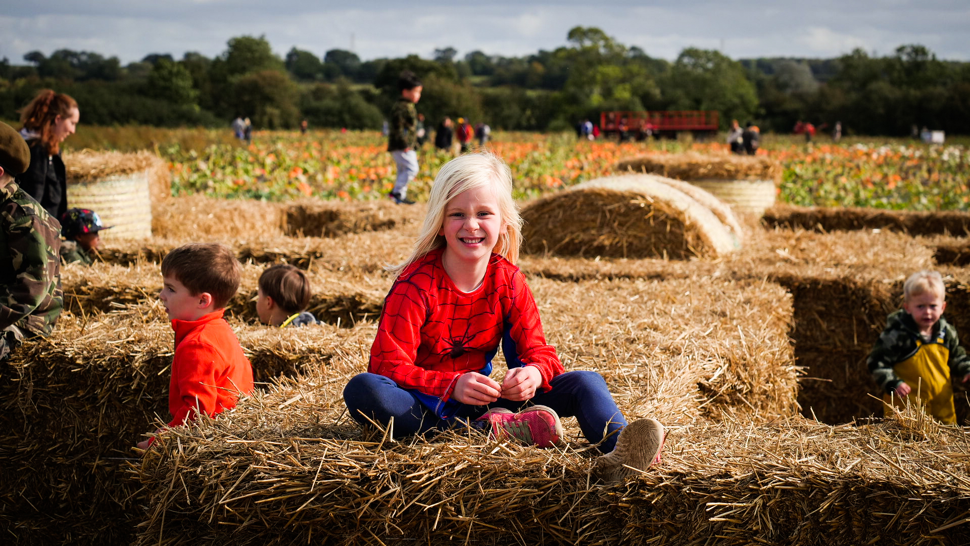 Things to do at our Pumpkin Patch in Milton Keynes this Halloween ...