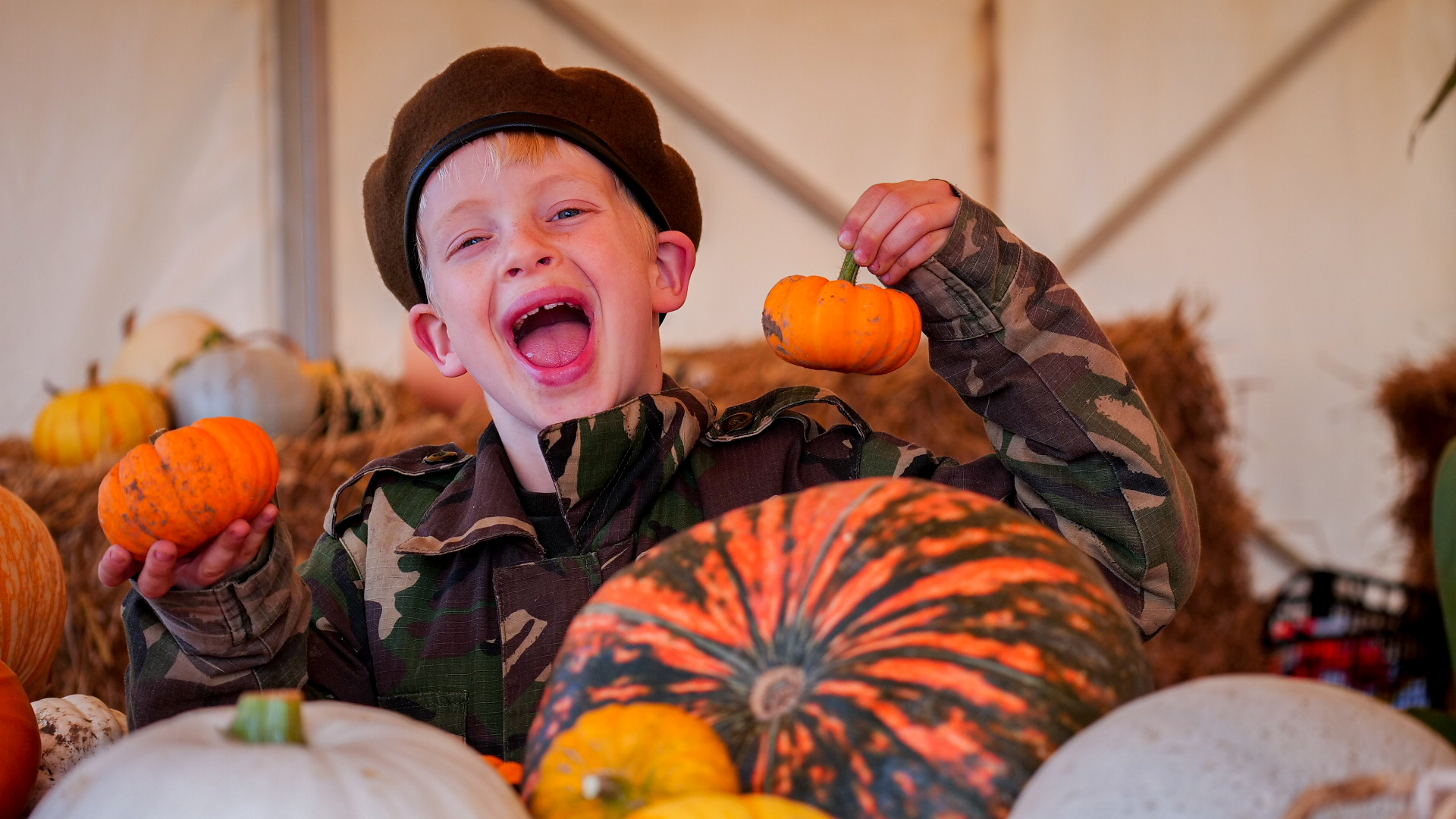 Why our family started a pumpkin patch in Milton Keynes - Patch MK