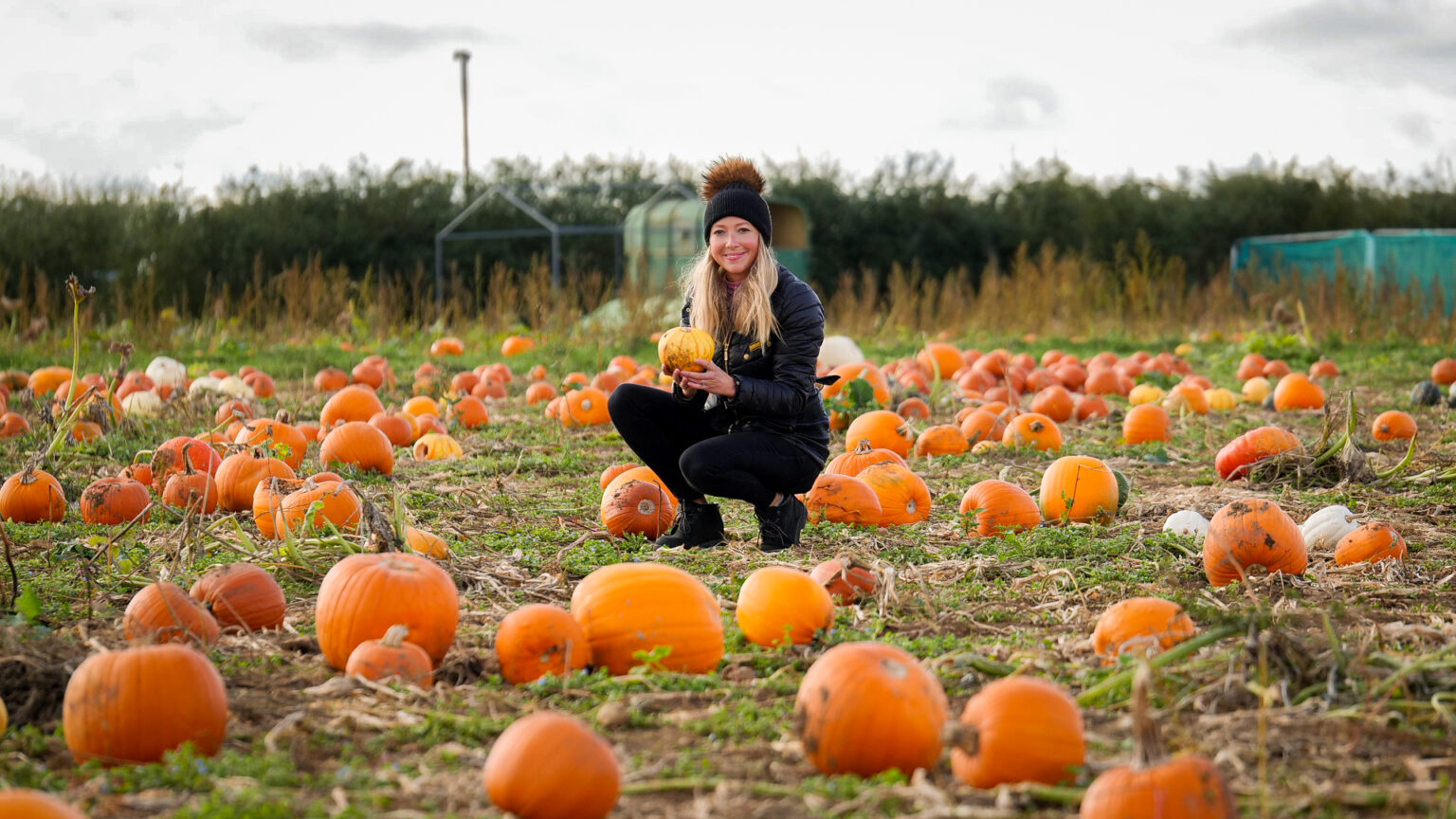 Family Pumpkin Picking in Milton Keynes: What to expect - Patch MK