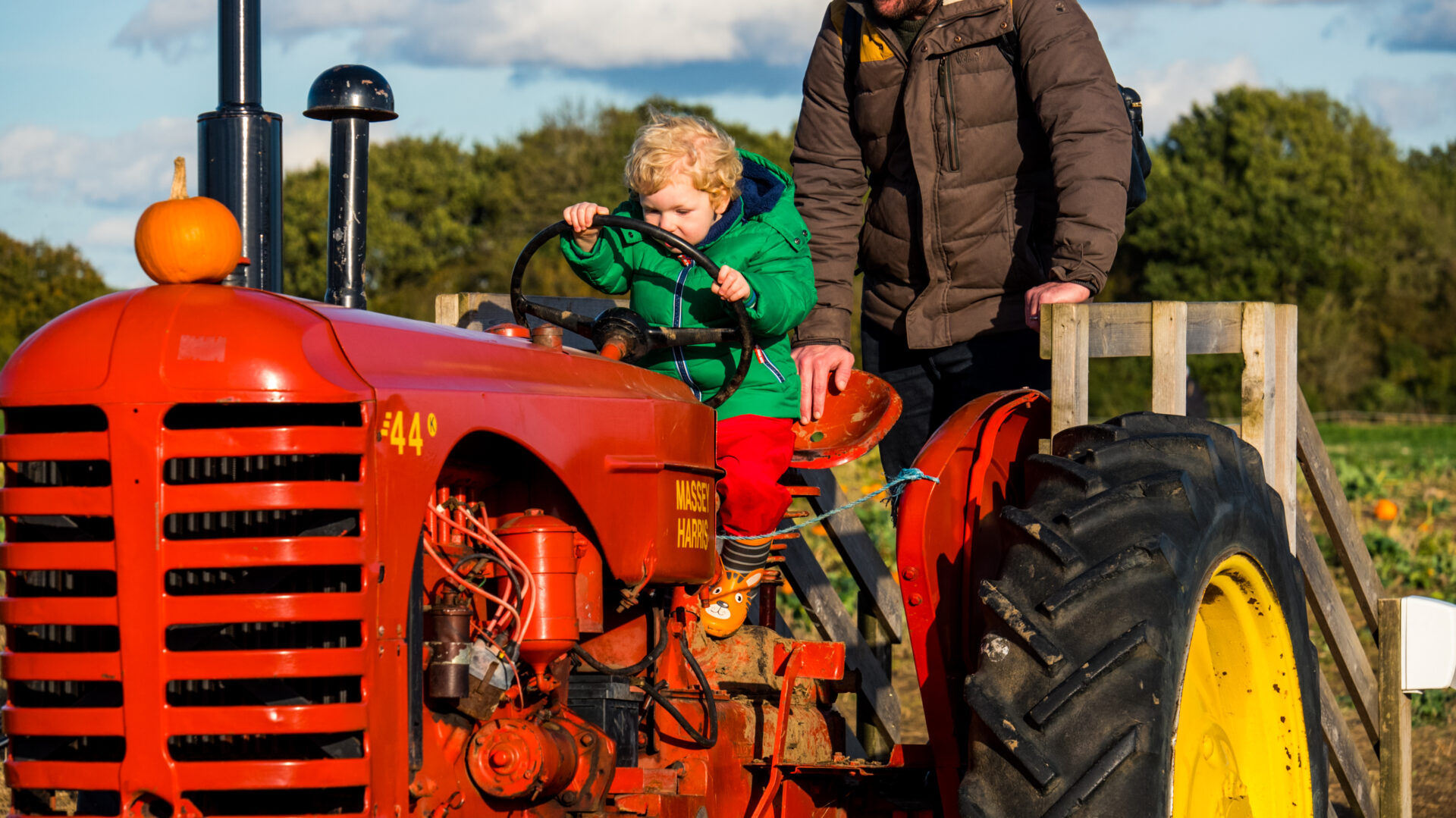 Why Milton Keynes families love joining us for pumpkin picking - Patch MK