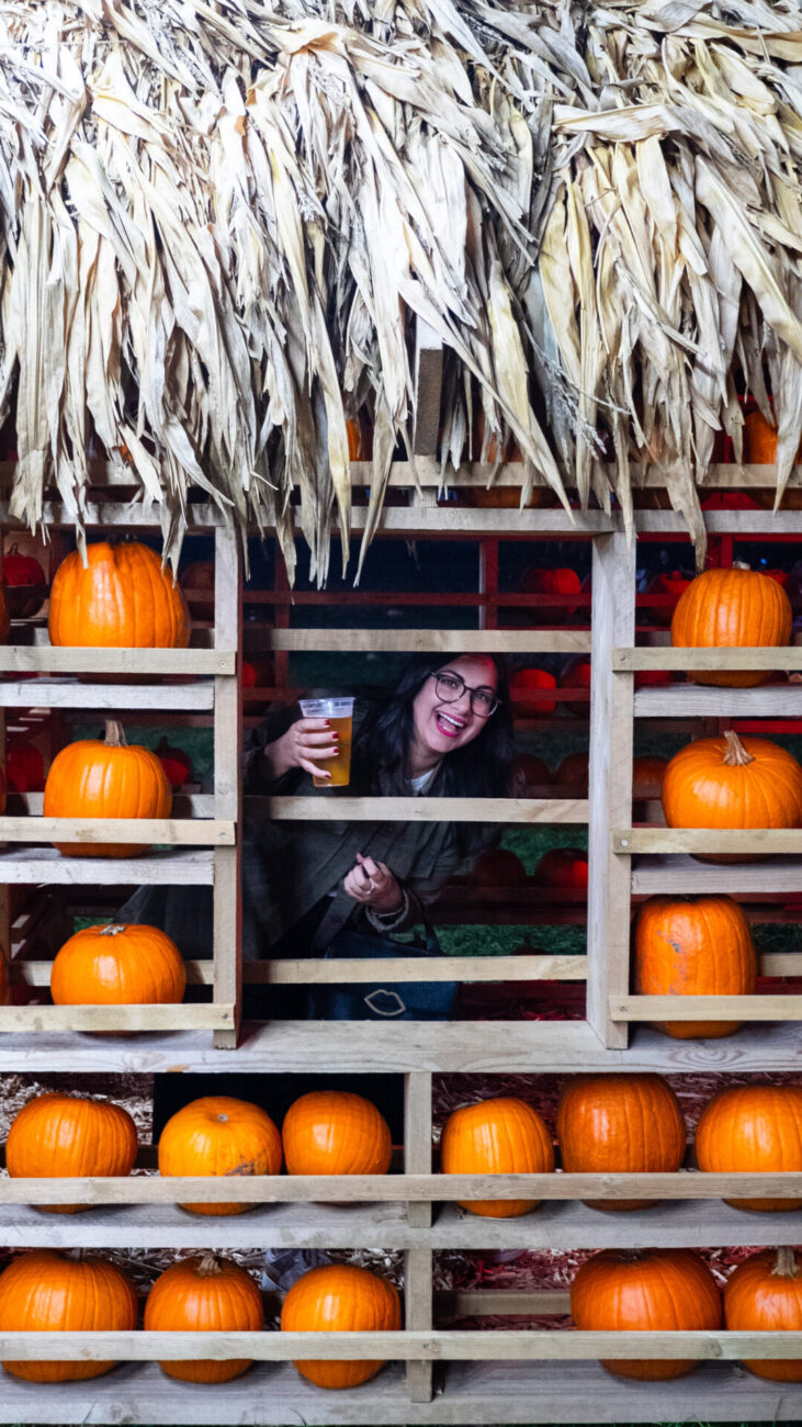 woman holding beer looks through window of pumpkin house at patch mk