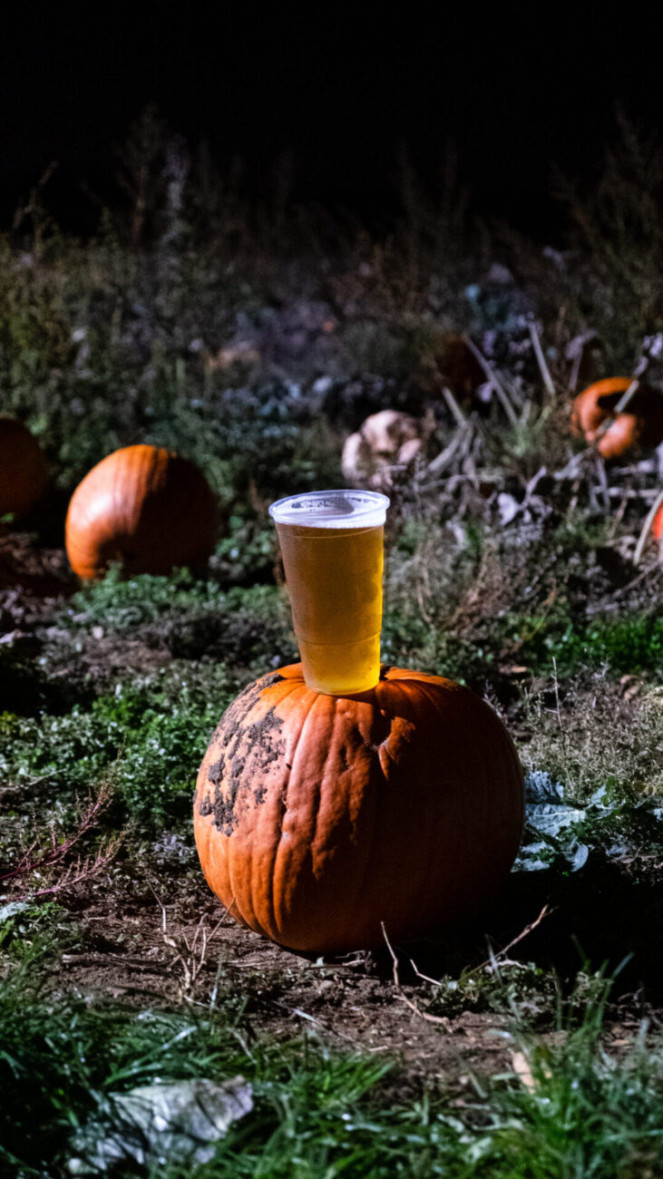 beer in a plastic cup balances on top of a pumpkin