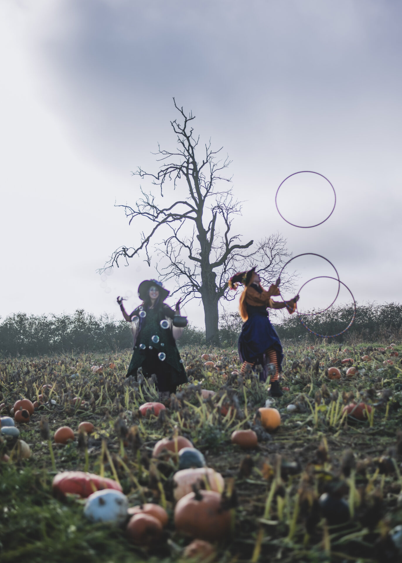 Pumpkin Picking & Halloween Fun 2026 | The Patch MK